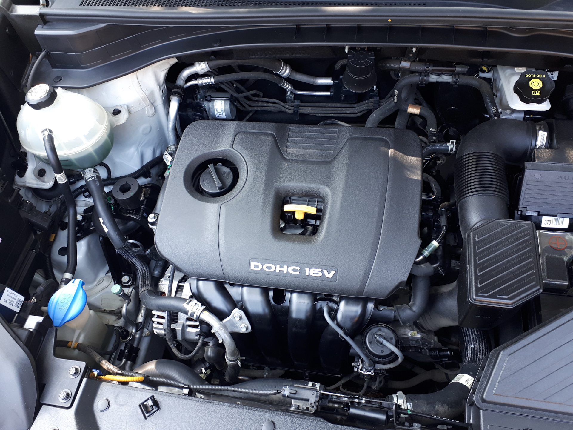 Ремонт двигателя киа спортейдж 2.0. Kia Sportage 4 двигатель. Кия Спортейдж 4 подкапотка.