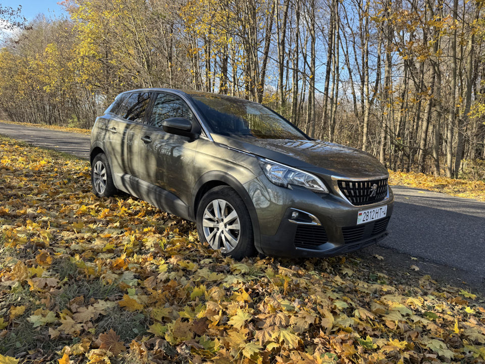 Адблю заправка и присадка — Peugeot 3008 (2G), 1,5 л, 2020 года ...