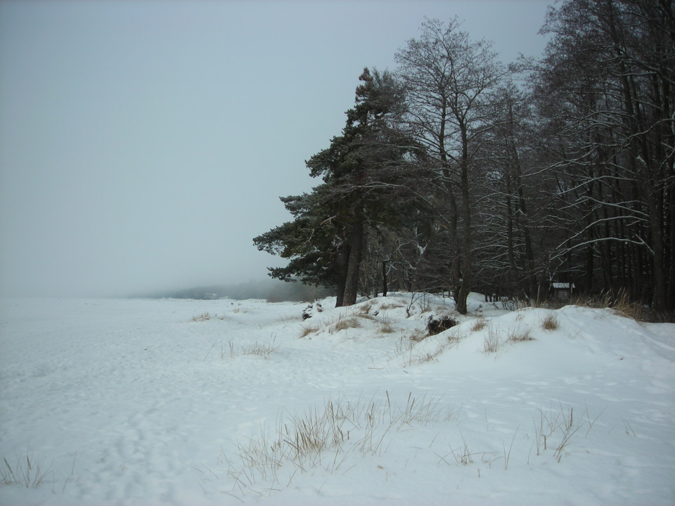 Фото в бортжурнале Renault Sandero 2G