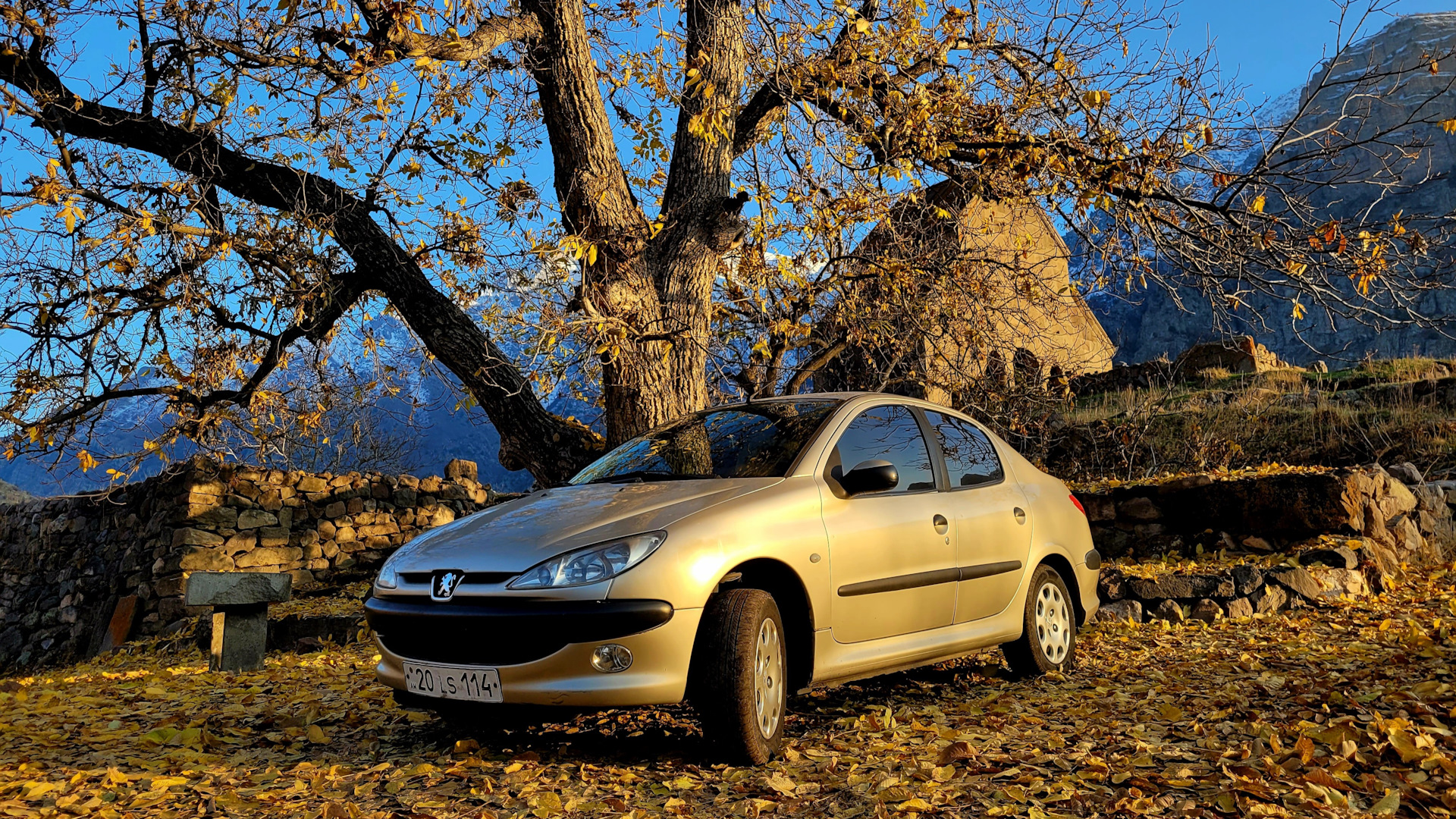 Peugeot 206 Sedan 1.6 бензиновый 2009 | Пегас 1.6 на DRIVE2