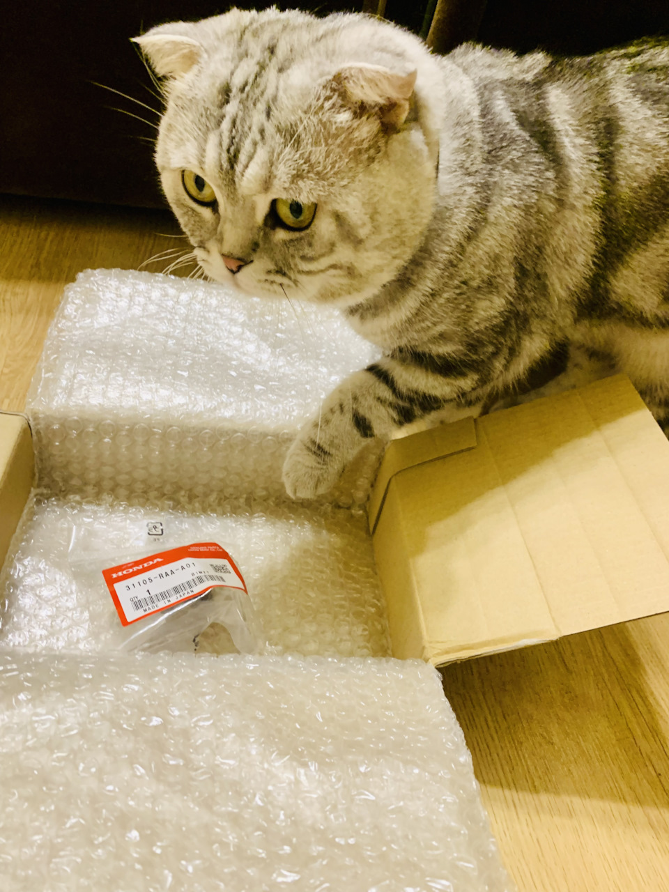 ОЕМ запчасти с Японии. С сайта www.impex-jp.com — DRIVE2