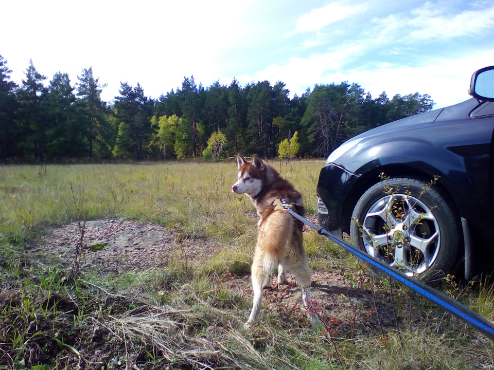 Прошивка под Евро 2. Нужен Ваш совет — Ford Focus II Sedan, 1,6 л, 2008 ...