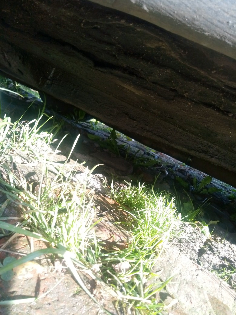 Прямая труба вместо резонатора и снятие тонировки — Москвич 2141, 1,6 л ...