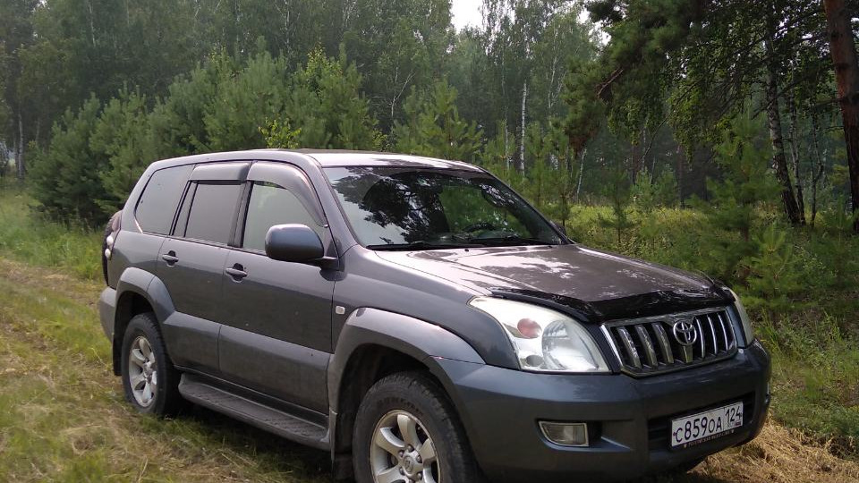 Прадо 2009 Года Купить
