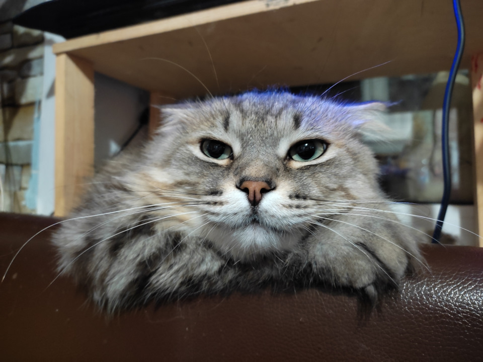 Как почистить топливный фильтр? — Lada Largus Cross, 1,6 л, 2016 года ...