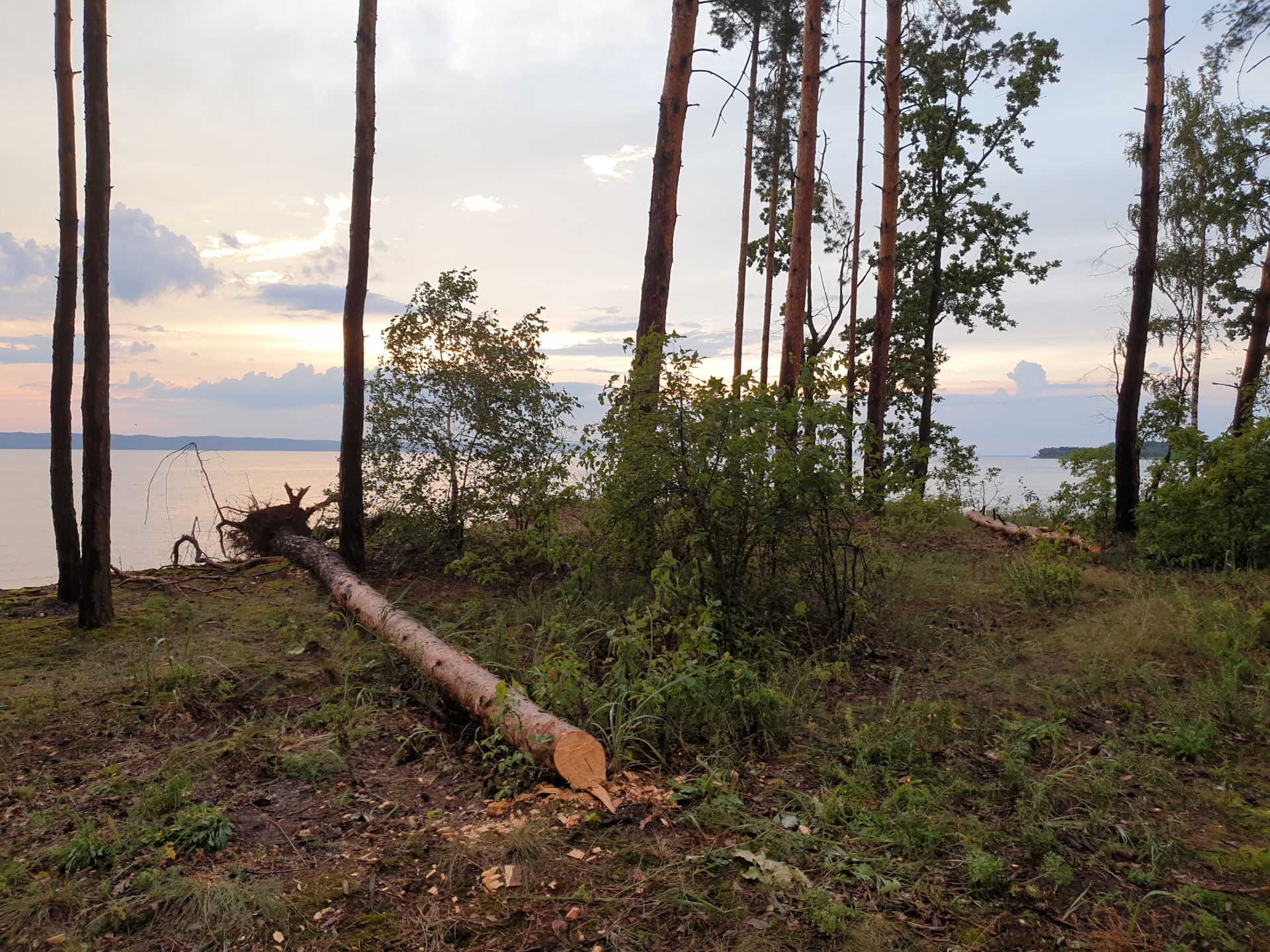 #130 Полная замена масла в АКПП Infiniti FX35 — MotulDrive (БиБиАвТо ...