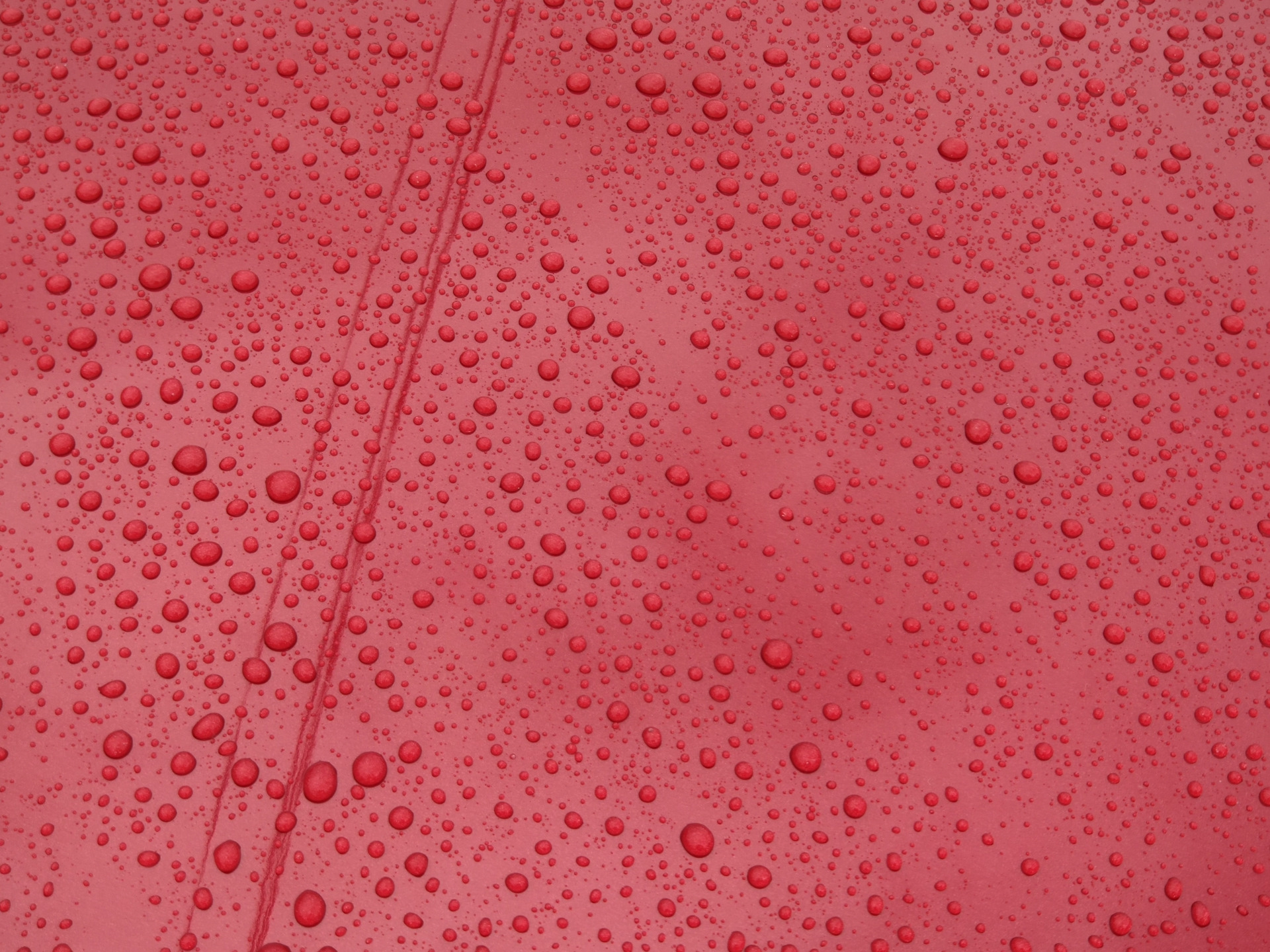 Защитная полировка — KIA Sportage (4G), 2 л, 2019 года | стайлинг | DRIVE2