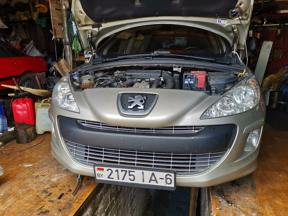 Лев готов к замене жидкости — Peugeot 308 (1G)