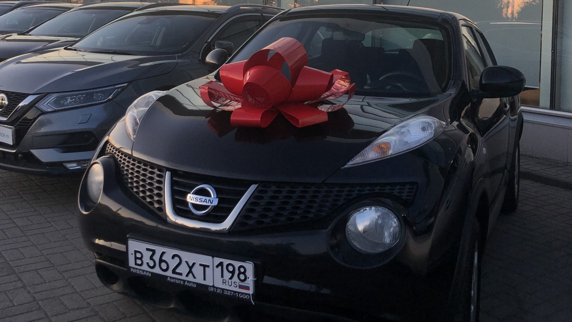 Nissan Juke (1G) 1.6 бензиновый 2013 | KITTY 1.6 МТ на DRIVE2