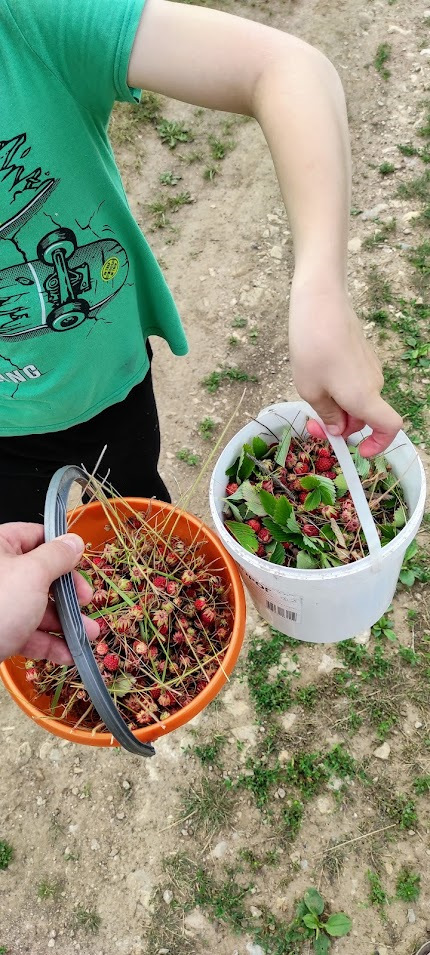 Фото в бортжурнале Lada Largus Cross