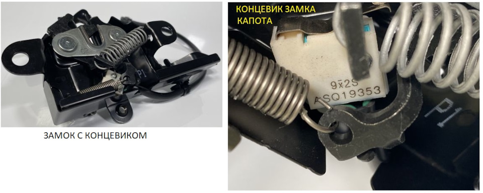 Фото в бортжурнале Toyota C-HR