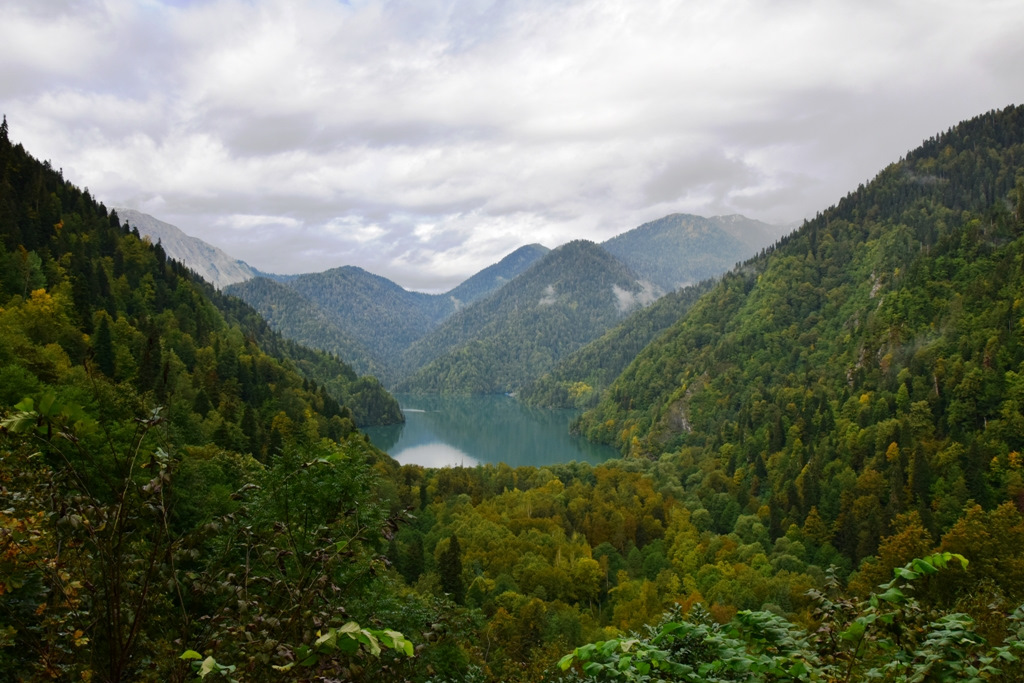 Рицинский парк абхазия фото