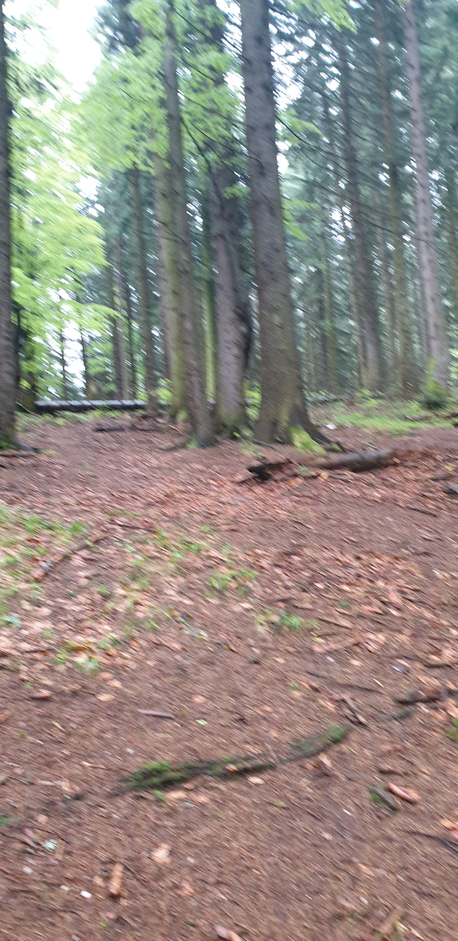 Новый аккумулятор — Daewoo Nexia (N150), 1,6 л, 2012 года | электроника ...