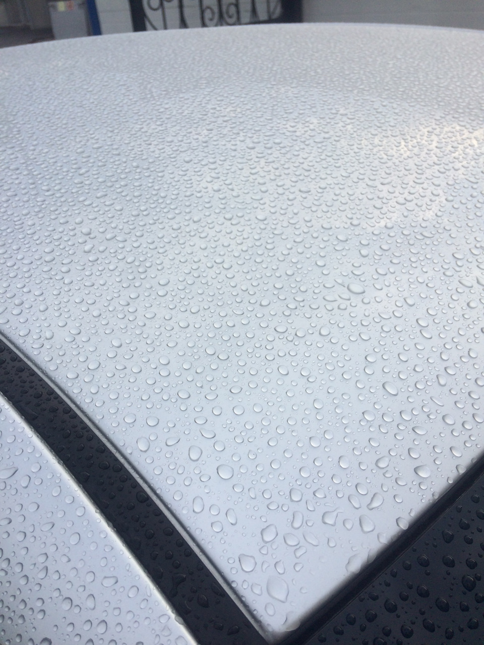 Разборка и чистка моторчик дроссельной заслонки — Ford Escort Mk5, 1,4 ...