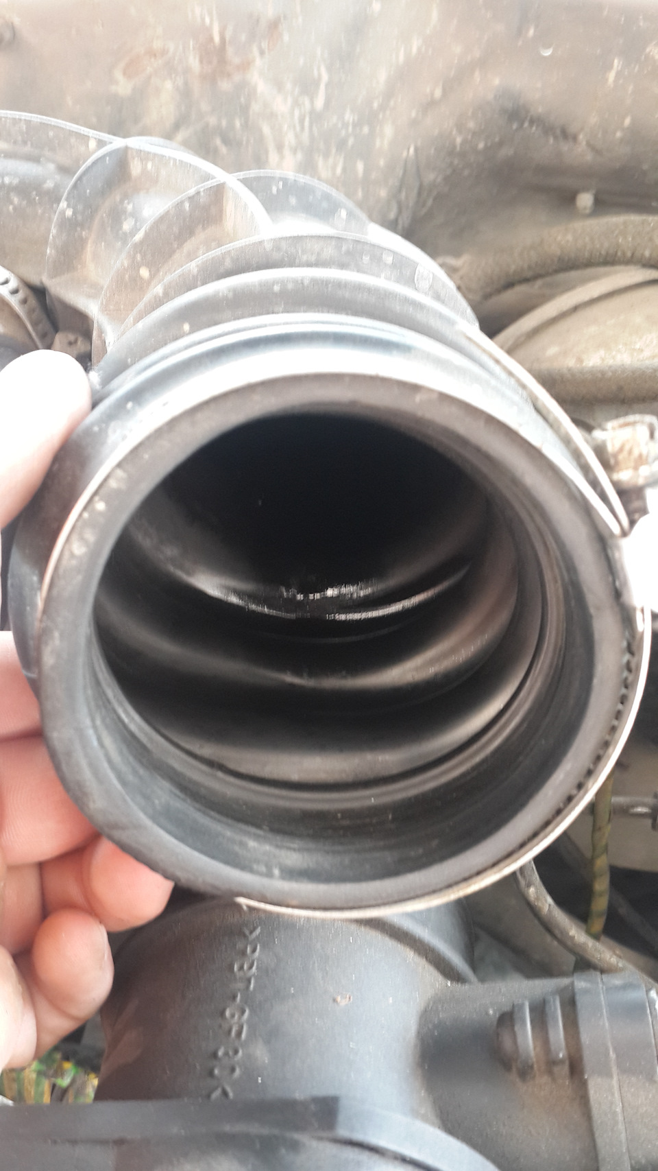 Масло в гофре? А его нет. — Lada 2114, 1,5 л, 2006 года | другое | DRIVE2