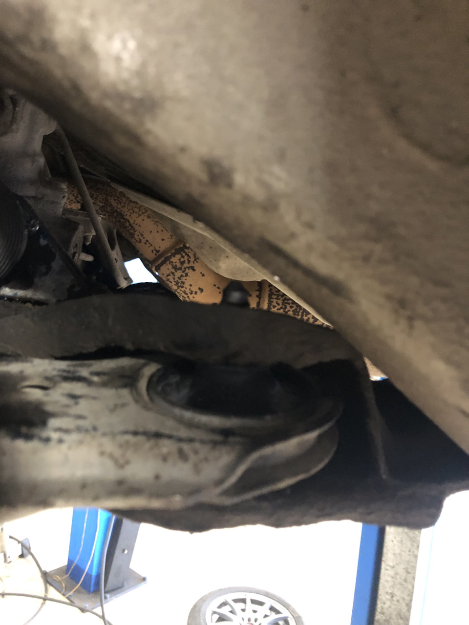 Везде где можно было новые болты оригинальные поставил с/блоки Lemforder 211131 пер. переднего рычага Lemforder 1020302 задний переднего рычага Lemforder 4264701 втулки стабилизатора переднего N90484004 болт рычага оригинал N10262202 болт рычага оригинал — Audi A3 (8L). Запчасти на фото: 1020302, 4264701, N90484004, N10262202