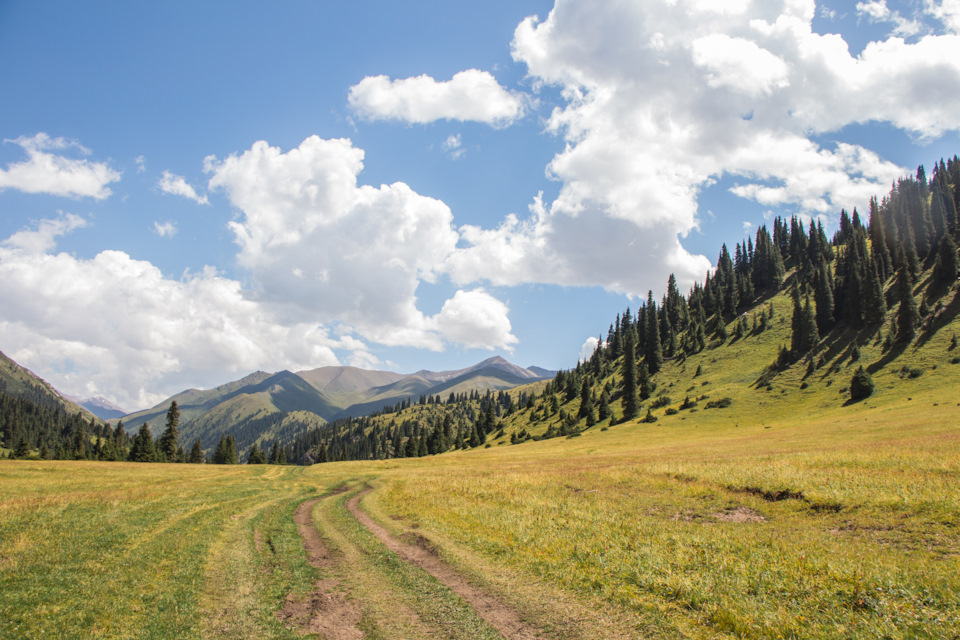 Фото в бортжурнале Mitsubishi Pajero (3G)