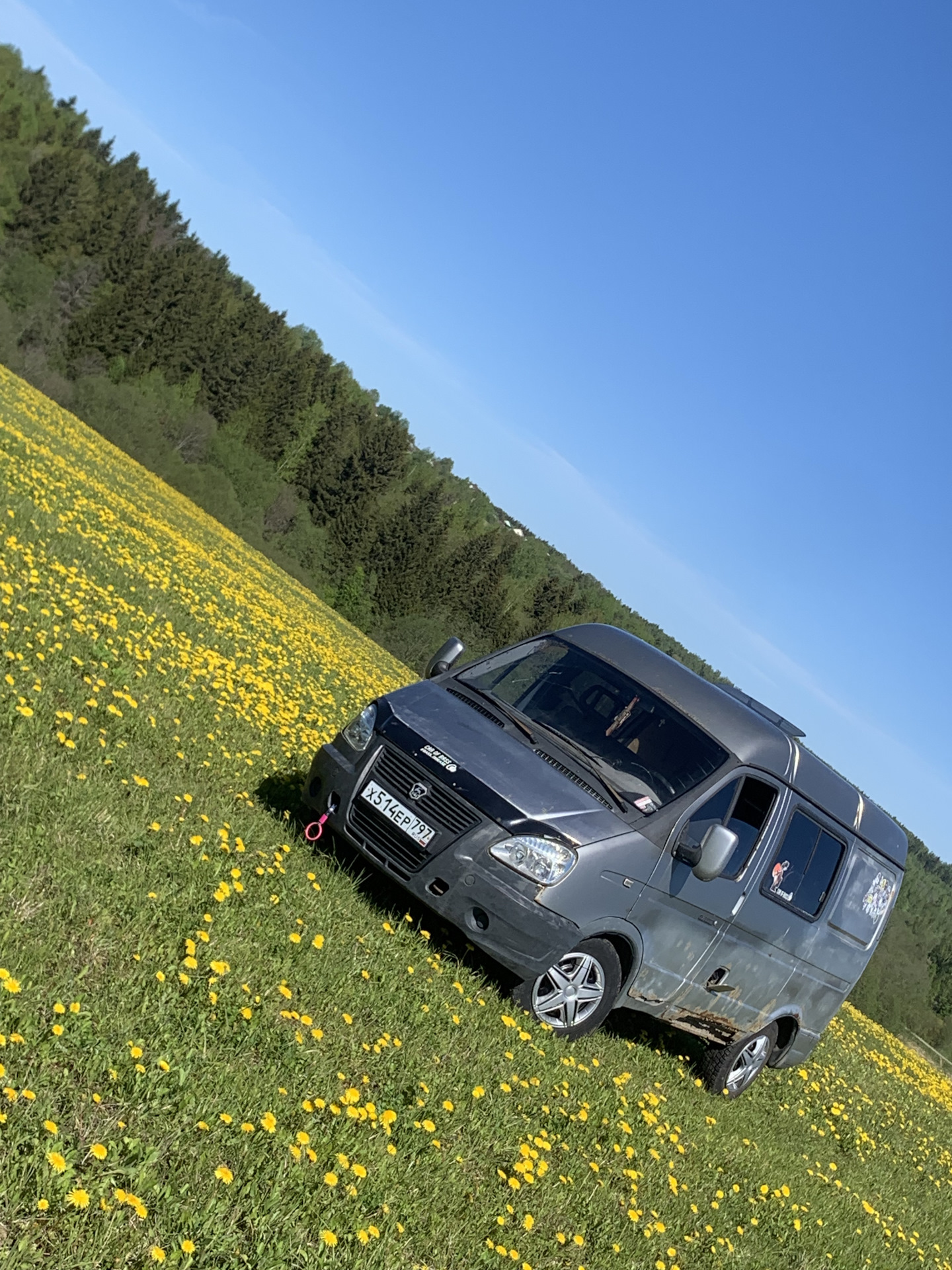 Вывел Соболя на прогулку. — ГАЗ Соболь, 2,2 л, 2006 года | фотография ...