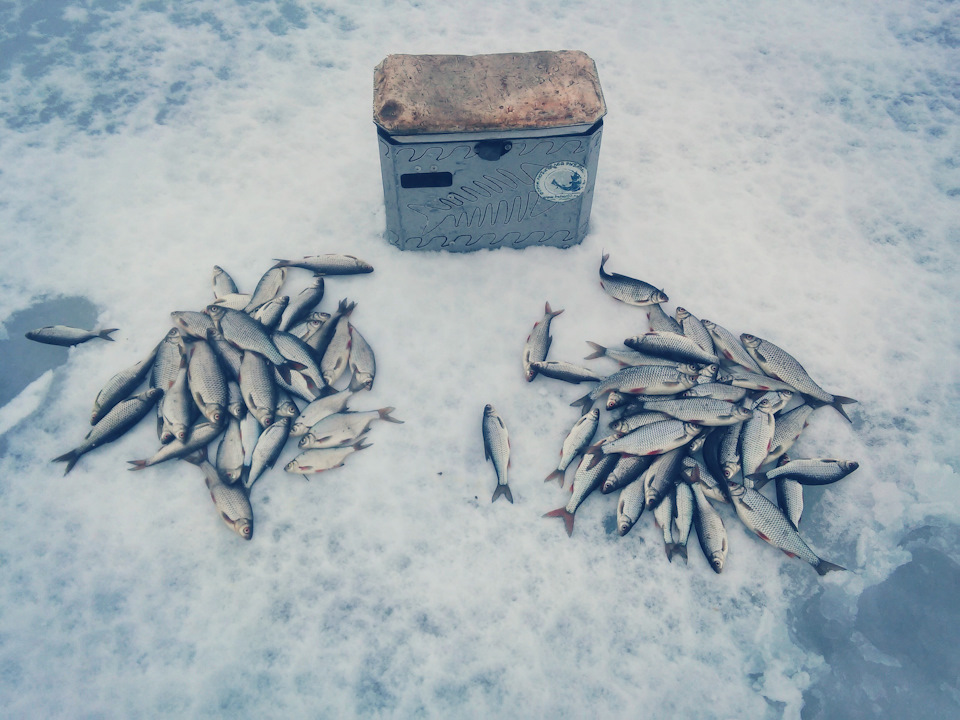 Фото в бортжурнале Chevrolet Niva (1G)