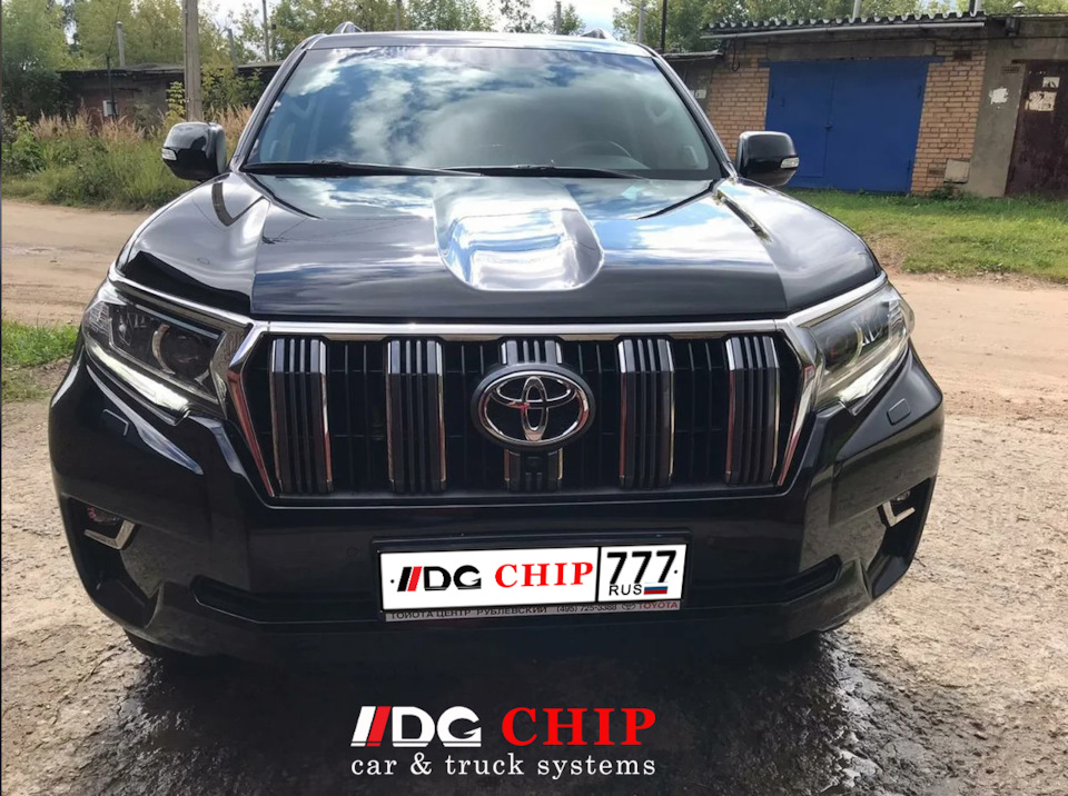 DG Chip: отзывы, цены, фото