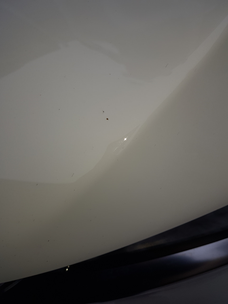 Первые сколы на капоте и рыжики ((( — Geely Coolray, 1,5 л, 2020 года ...