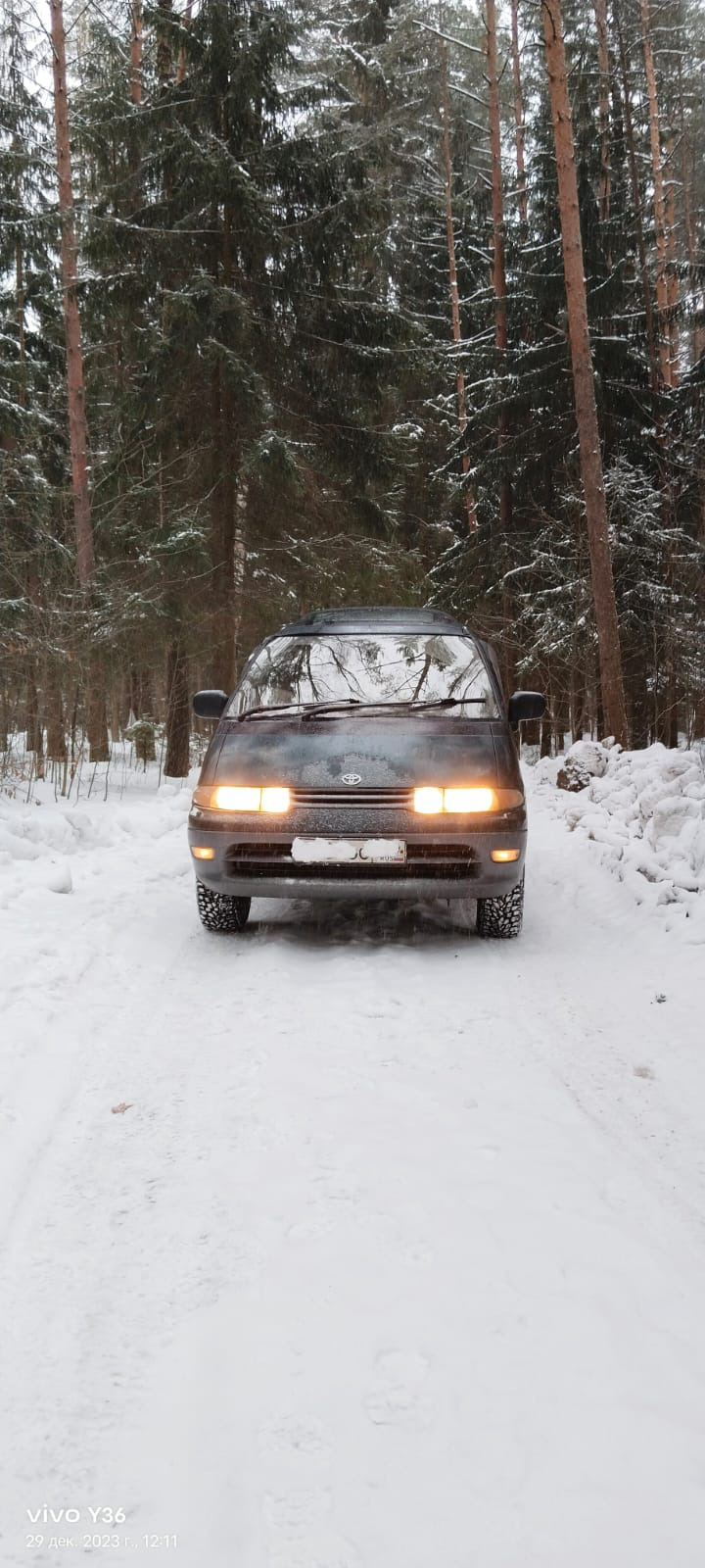 Прогулка в лес — Toyota Estima Lucida, 2,2 л, 1993 года | фотография |  DRIVE2