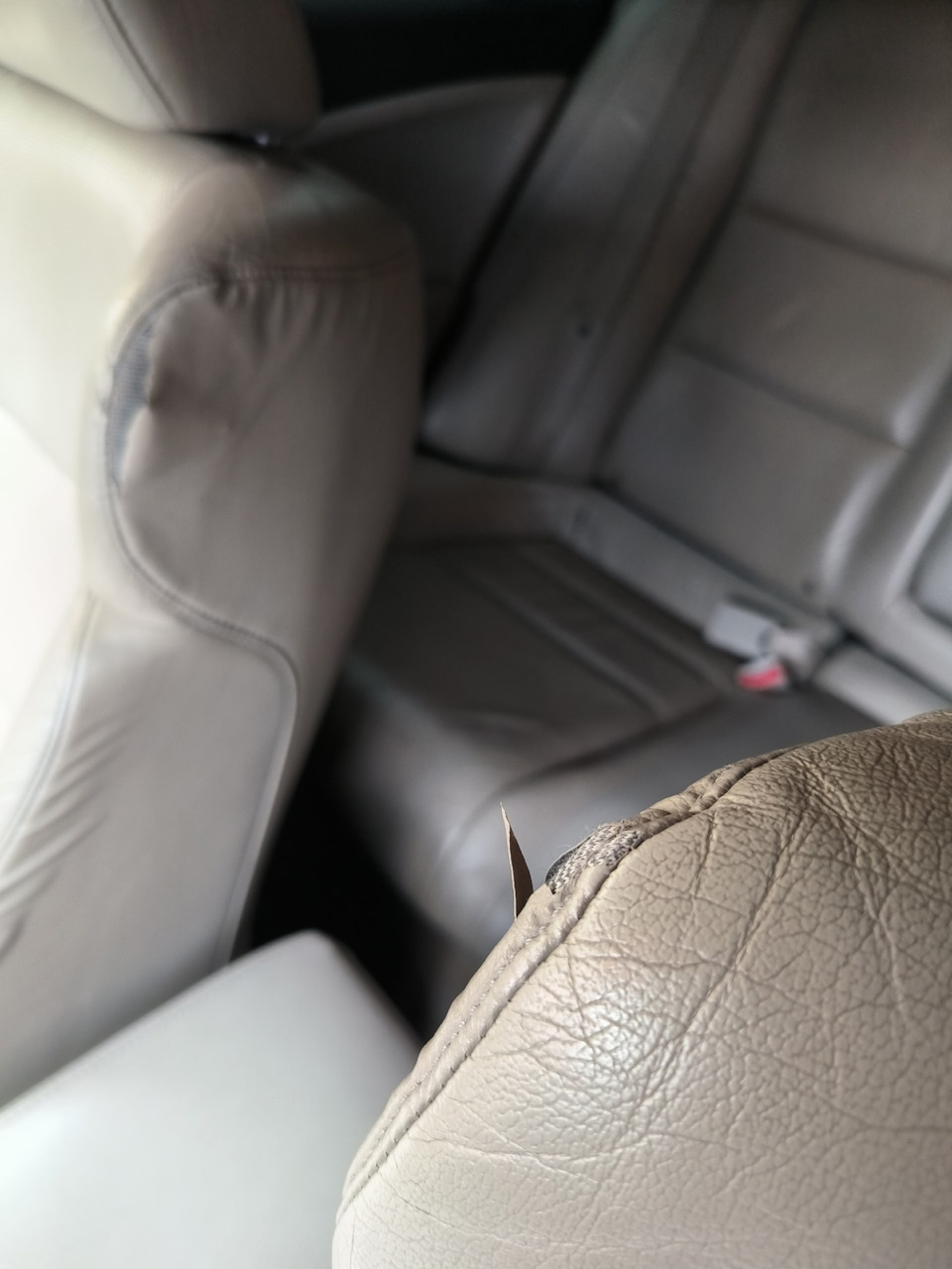 4 — Honda Accord (8G)