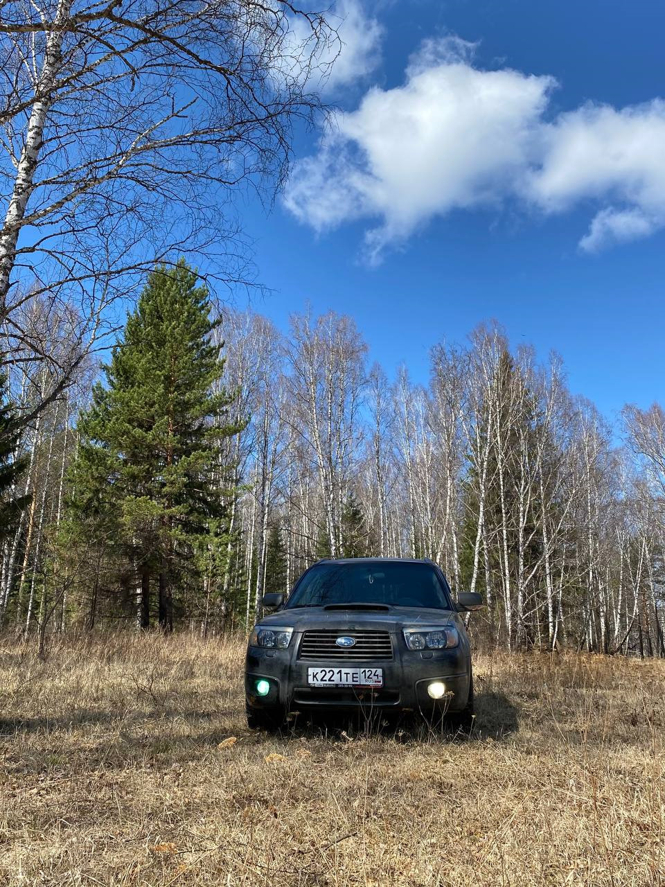 1й Месяц — Subaru Forester (SG), 2,5 л, 2005 года | наблюдение | DRIVE2