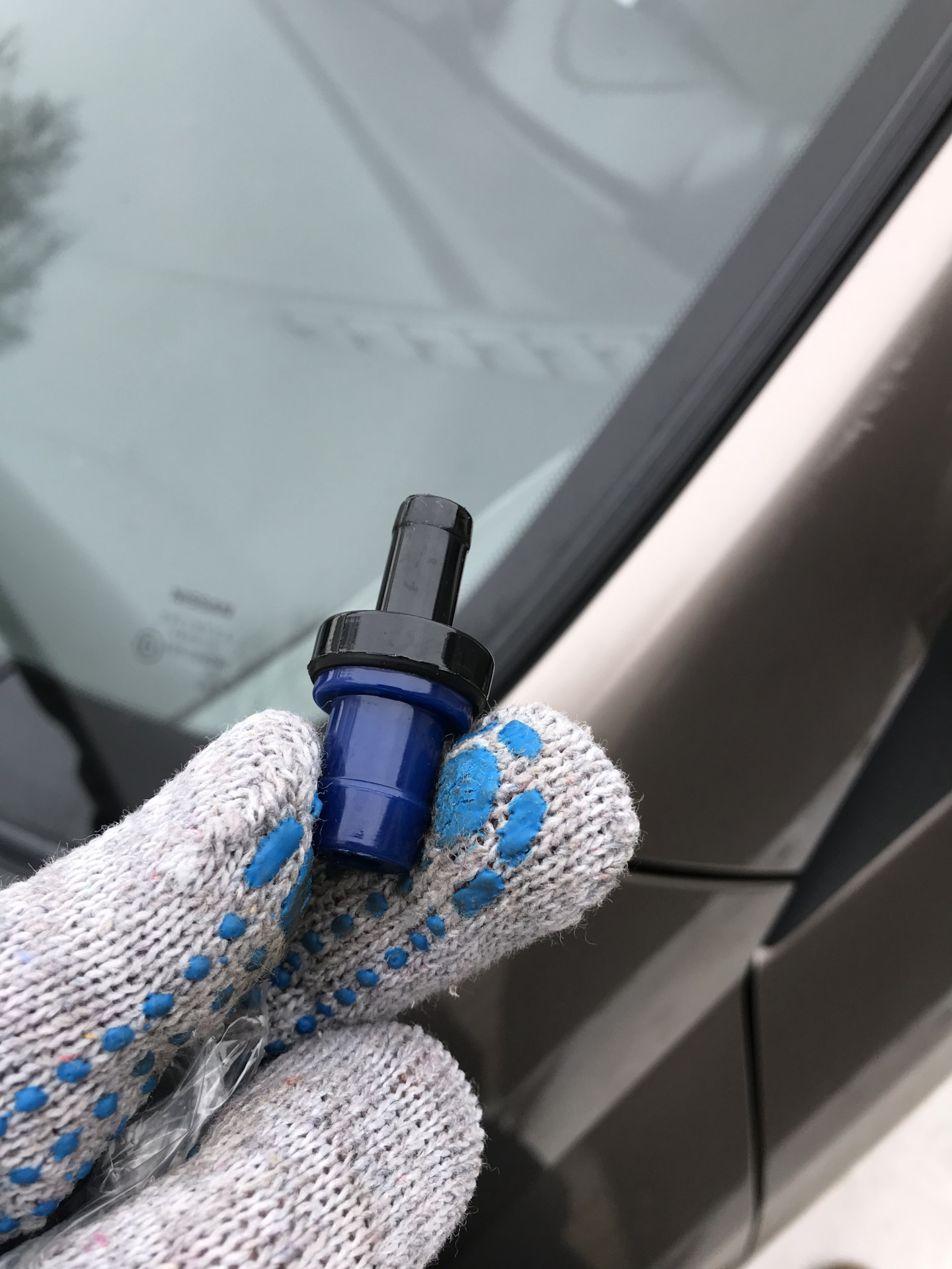 Поменял клапан вентиляции картерных газов — Nissan Primera (P12), 1,8 л ...