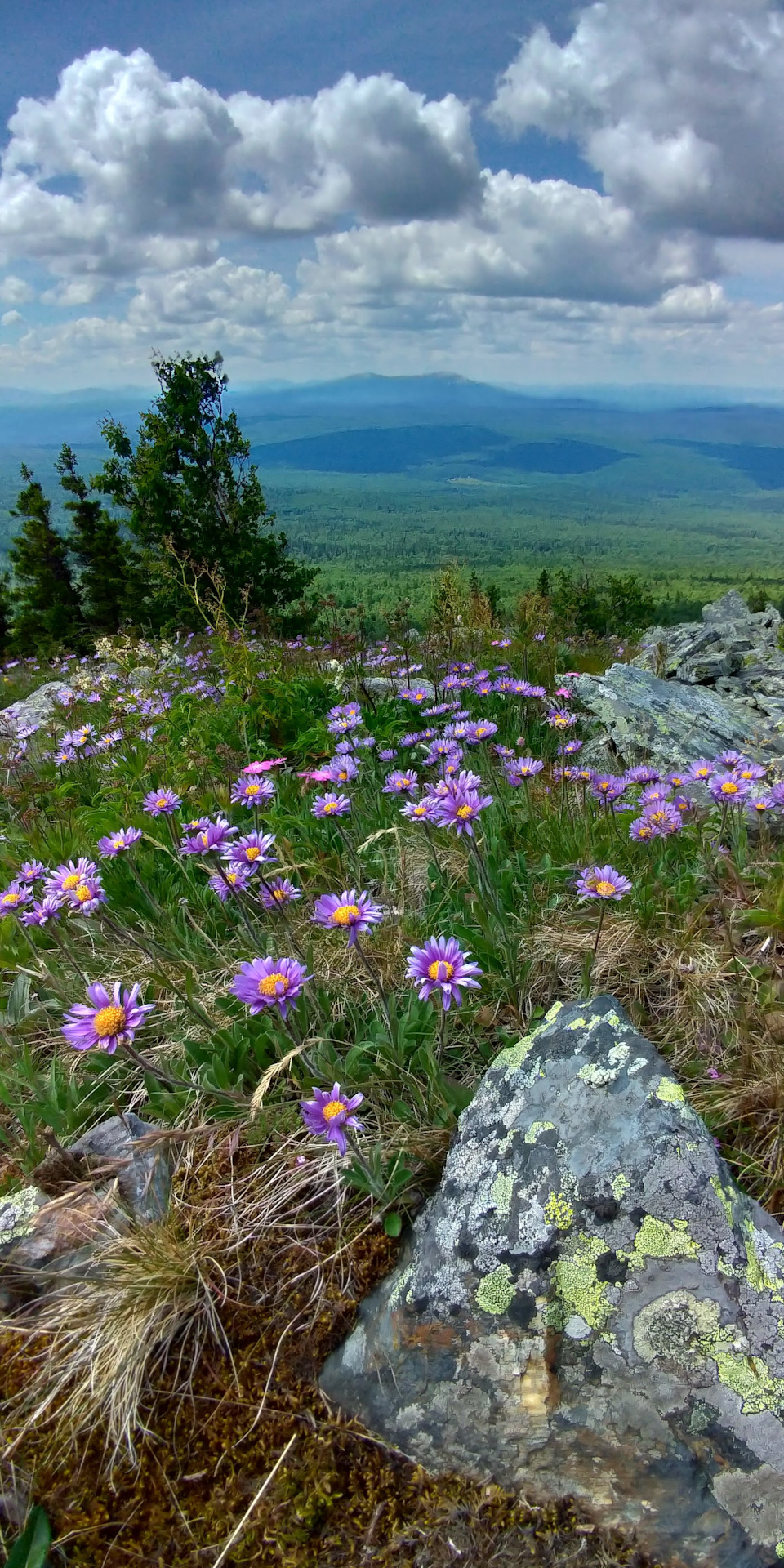 Путешествие в июле 