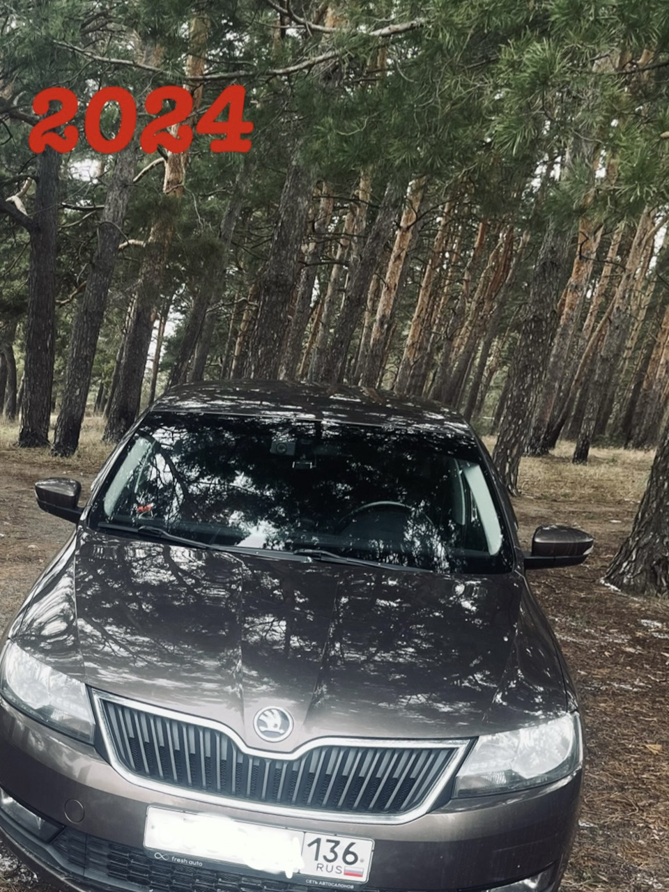 От души, всем кто на драйве. — Skoda Rapid (1G), 1,6 л, 2019 года | просто  так | DRIVE2