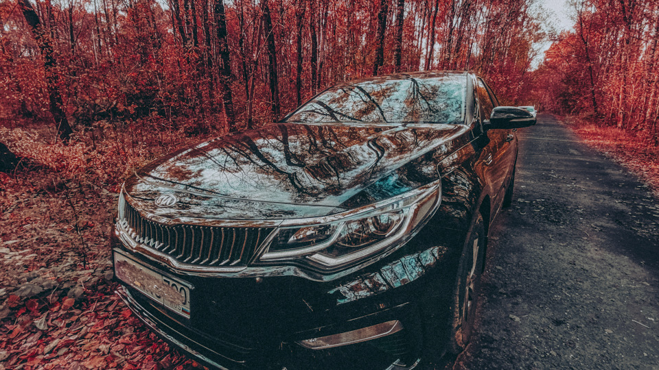 Биение руля при торможении 🤷‍♂️ — KIA Optima (4G), 2 л., 2020 года ...