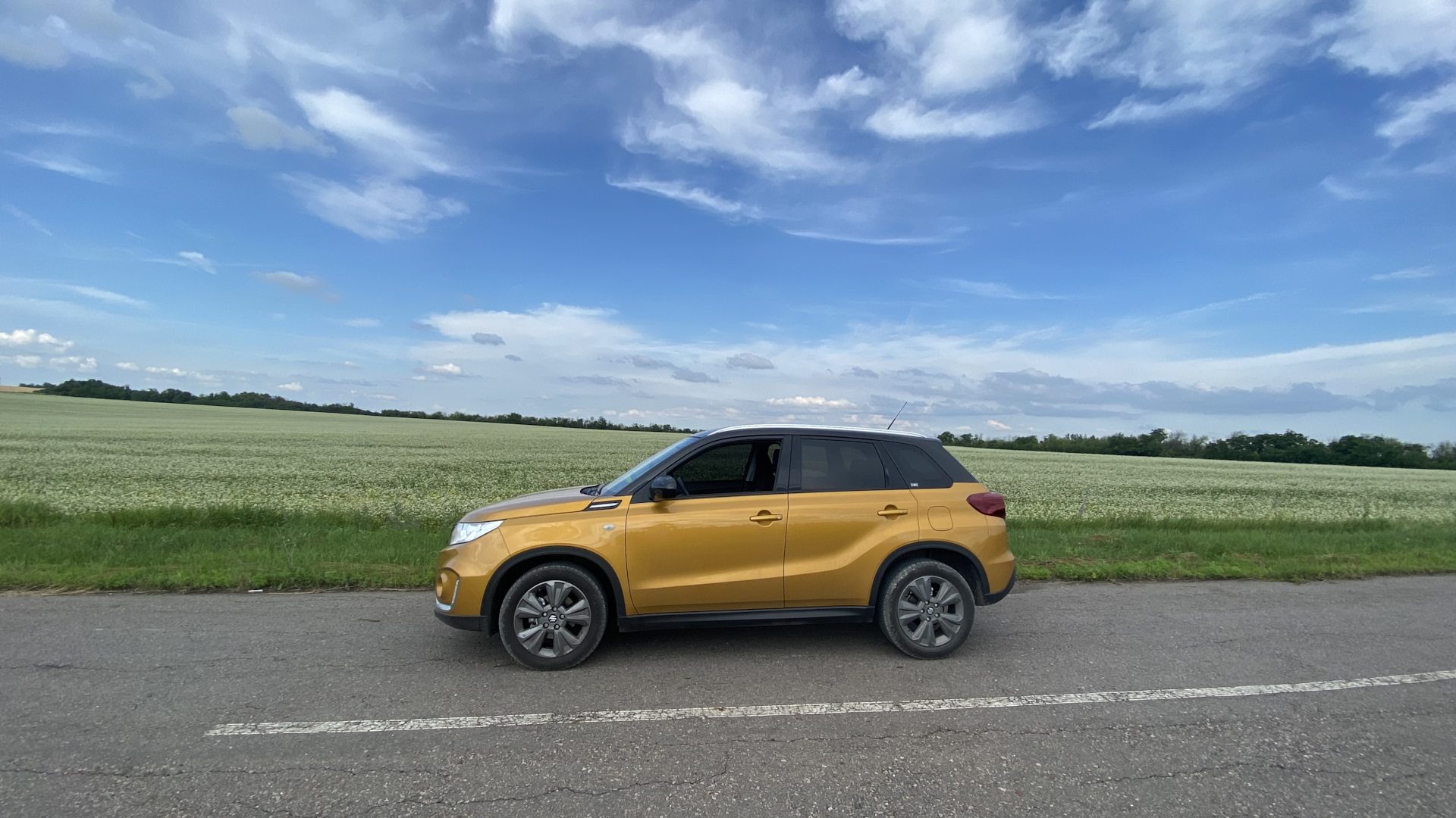 Сузуки сравнение. Suzuki Vitara 1.4 Turbo.