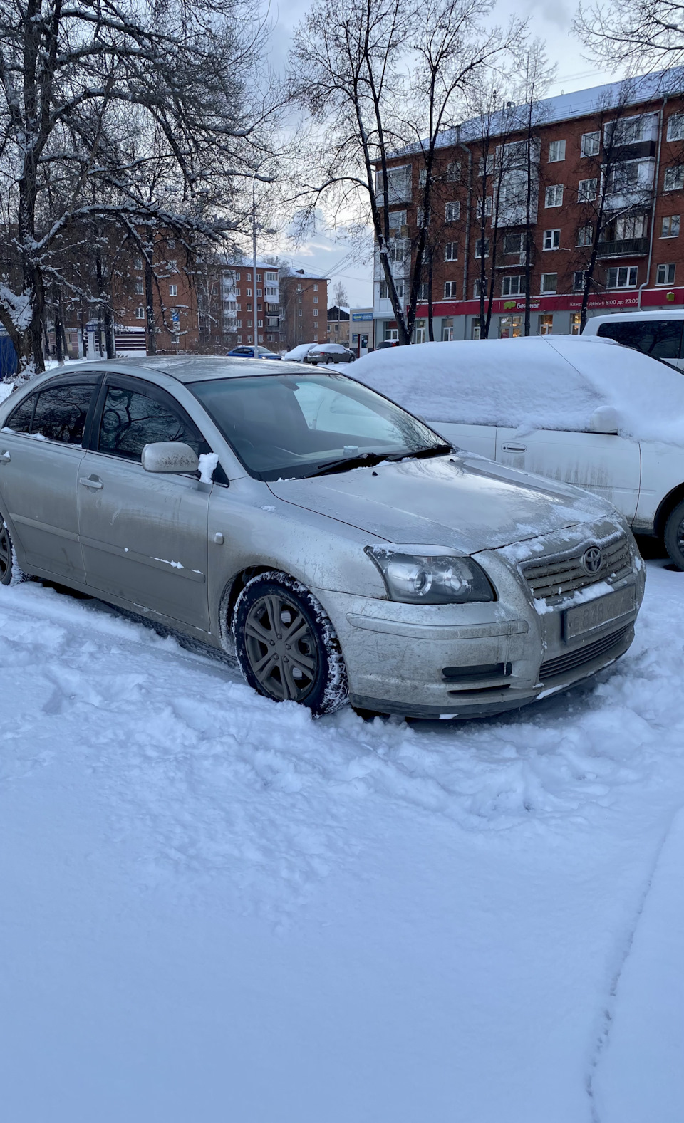 Продажа Веника 🤧 — Toyota Avensis II, 2 л, 2004 года | продажа машины |  DRIVE2