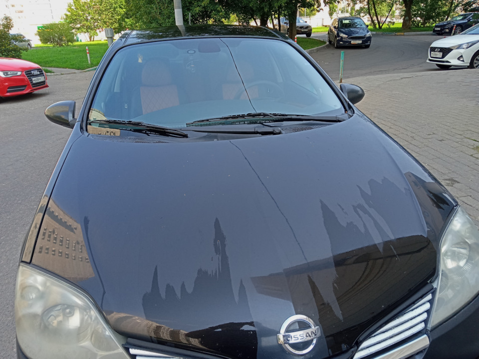 Замена лобового стекла - Nissan Primera (P12), 1,8 л, 2004 года визит на сервис 