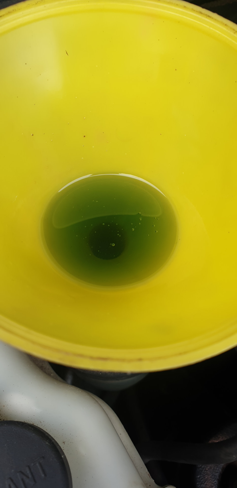 Замена жидкости в ГУР — KIA Carnival (2G), 2,9 л, 2008 года | своими ...