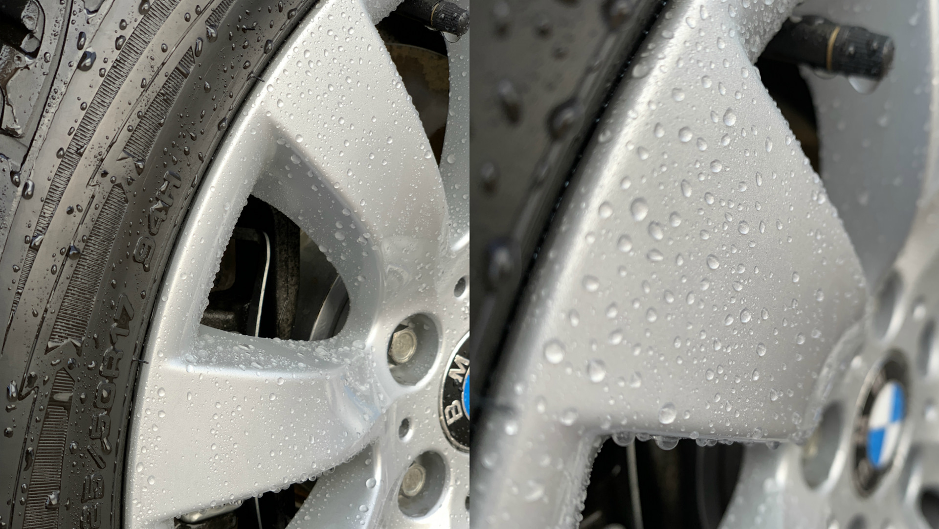 Protector wax