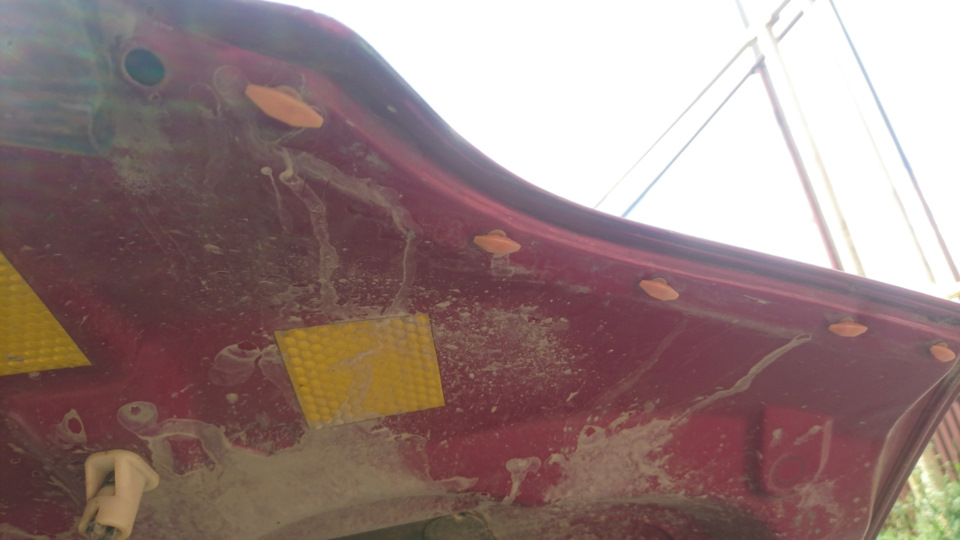 Фото в бортжурнале Honda Stepwgn (1G)