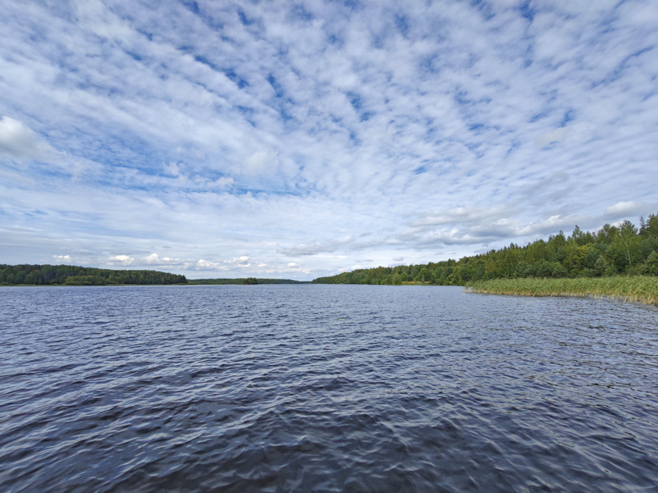 Фото в бортжурнале УАЗ 31519