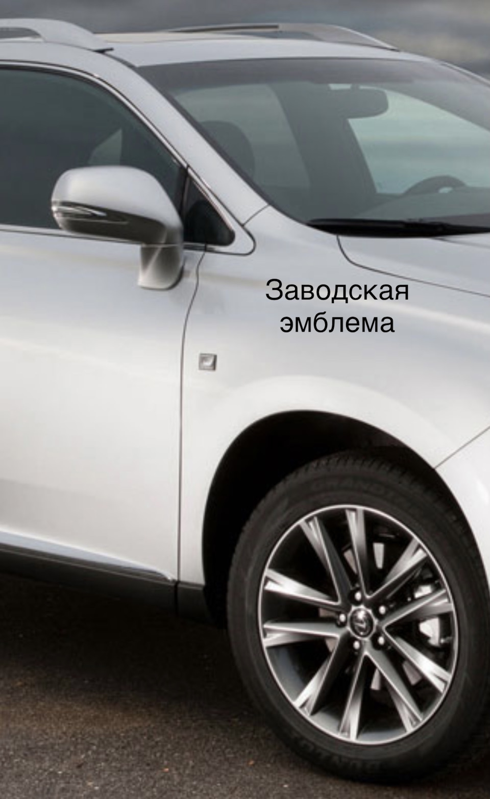 Эмблема F sport на переднее крыло — Lexus RX (3G), 3,5 л, 2010 года |  аксессуары | DRIVE2