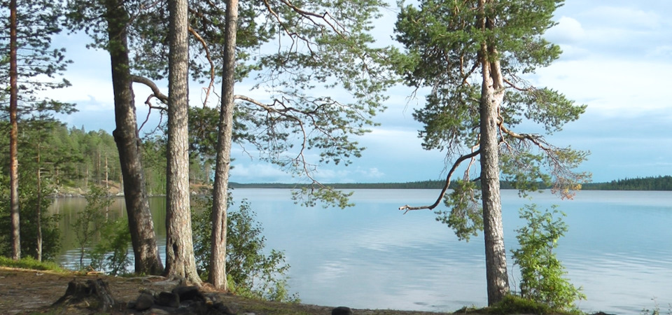 Фото в бортжурнале Mitsubishi Pajero Sport (2G)