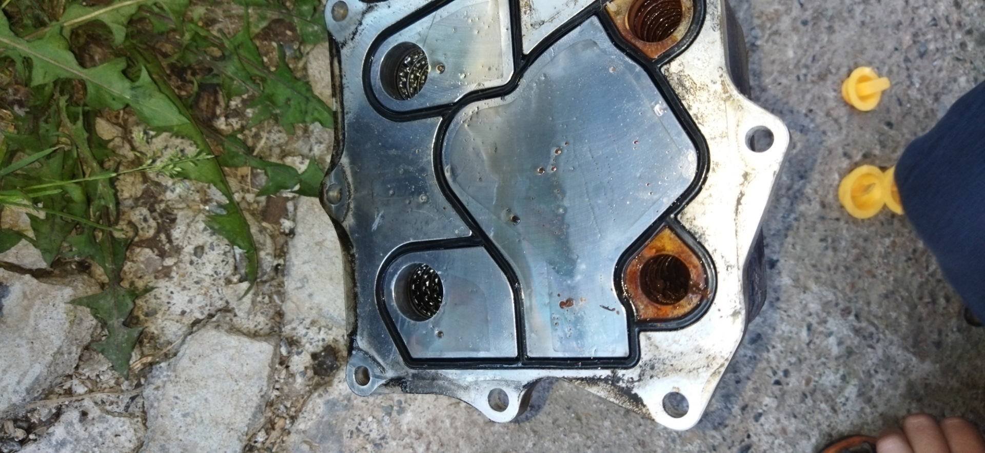 Теплообменник и давление масла isf 2.8 — ГАЗ Соболь 4х4, 2,8 л., 2014 ...