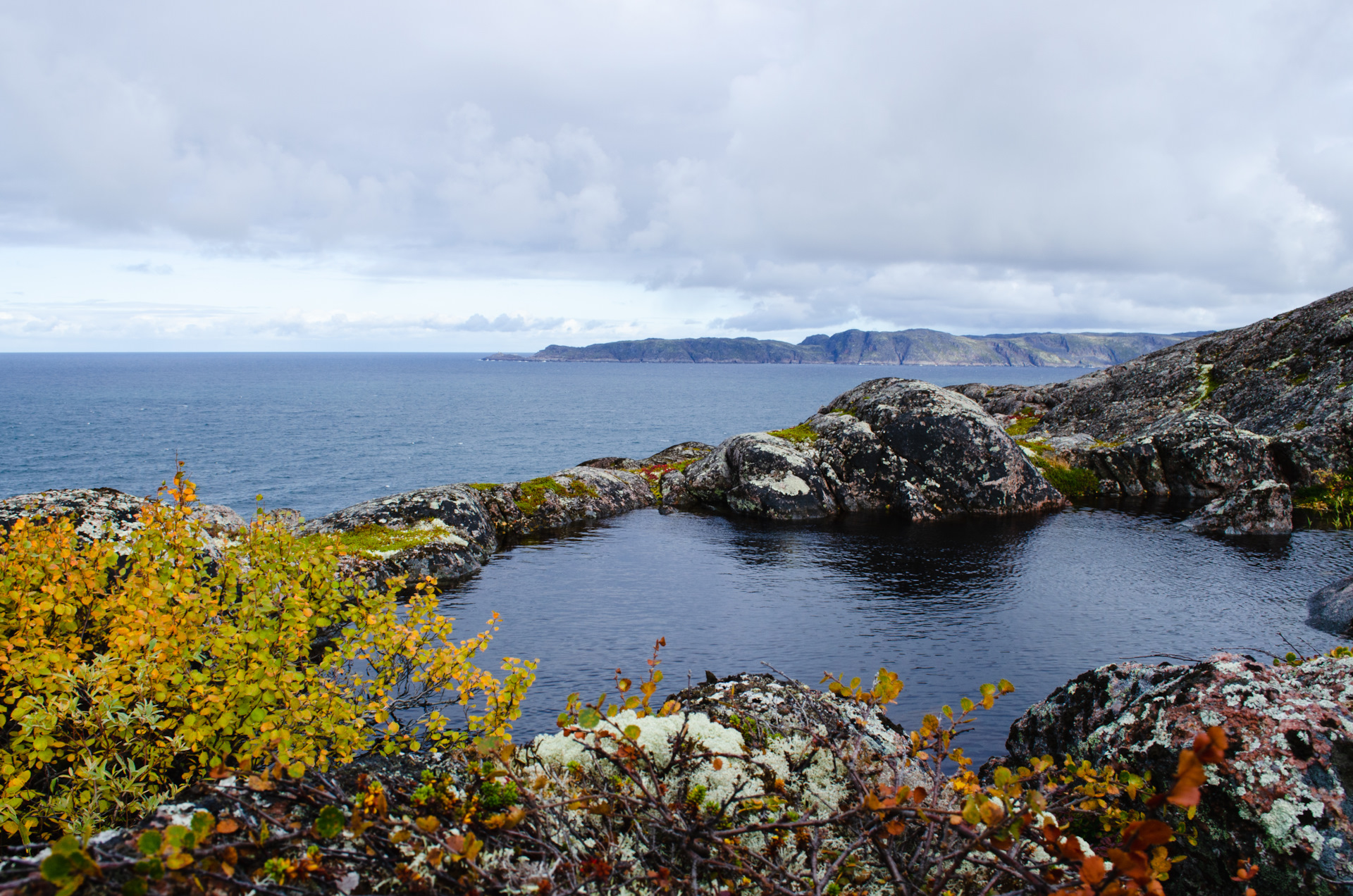 Баренцево море фото летом