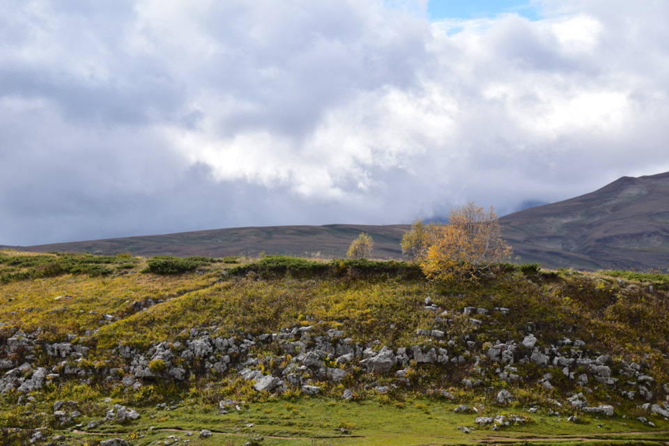 Фото в бортжурнале Renault Duster (1G)
