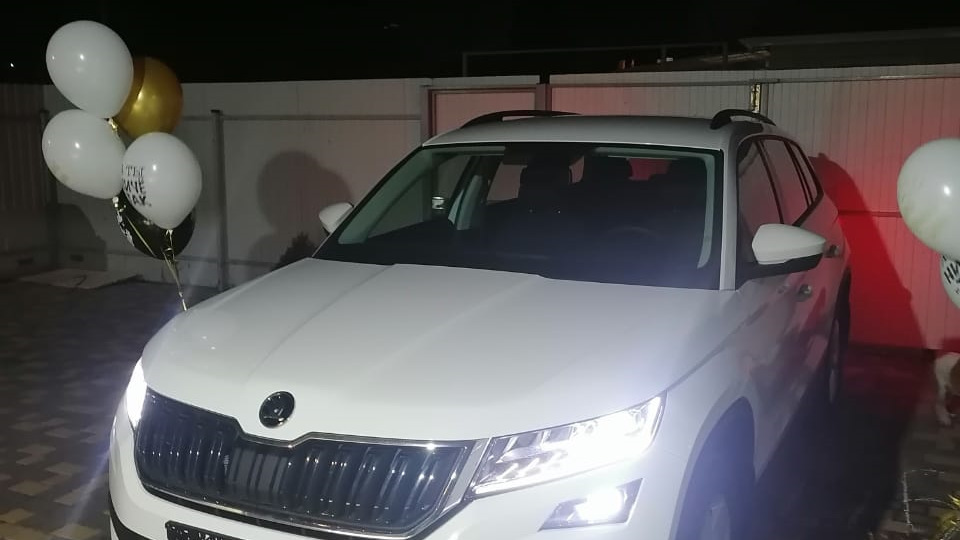 Skoda Kodiaq Медведь Кодиак 2021