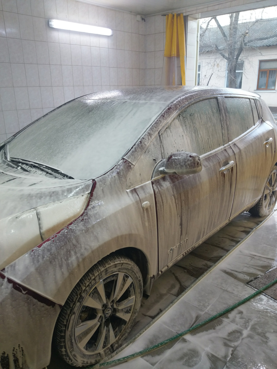 Традициям не изменяем!Моем перед Новым годом поросенка. — Nissan Leaf ...