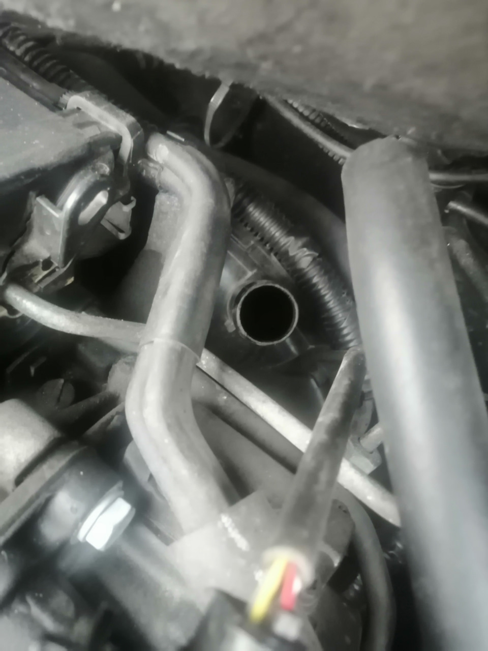 Фото в бортжурнале Ford Kuga (1G)