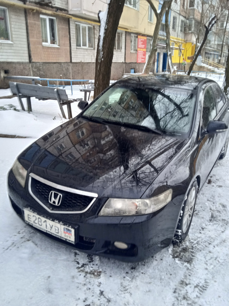 Узаконили наши отношения. — Honda Accord (7G), 2 л, 2004 года | покупка  машины | DRIVE2