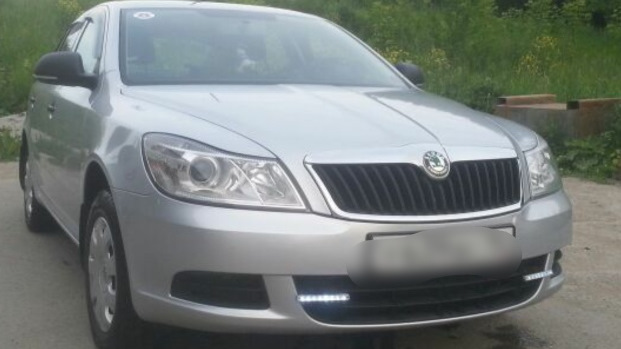Skoda Octavia Котовозка