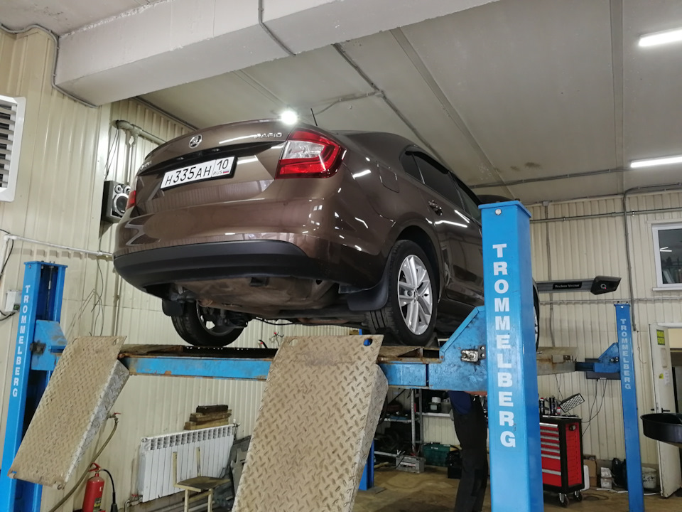 Фото в бортжурнале Skoda Octavia A7 Mk3